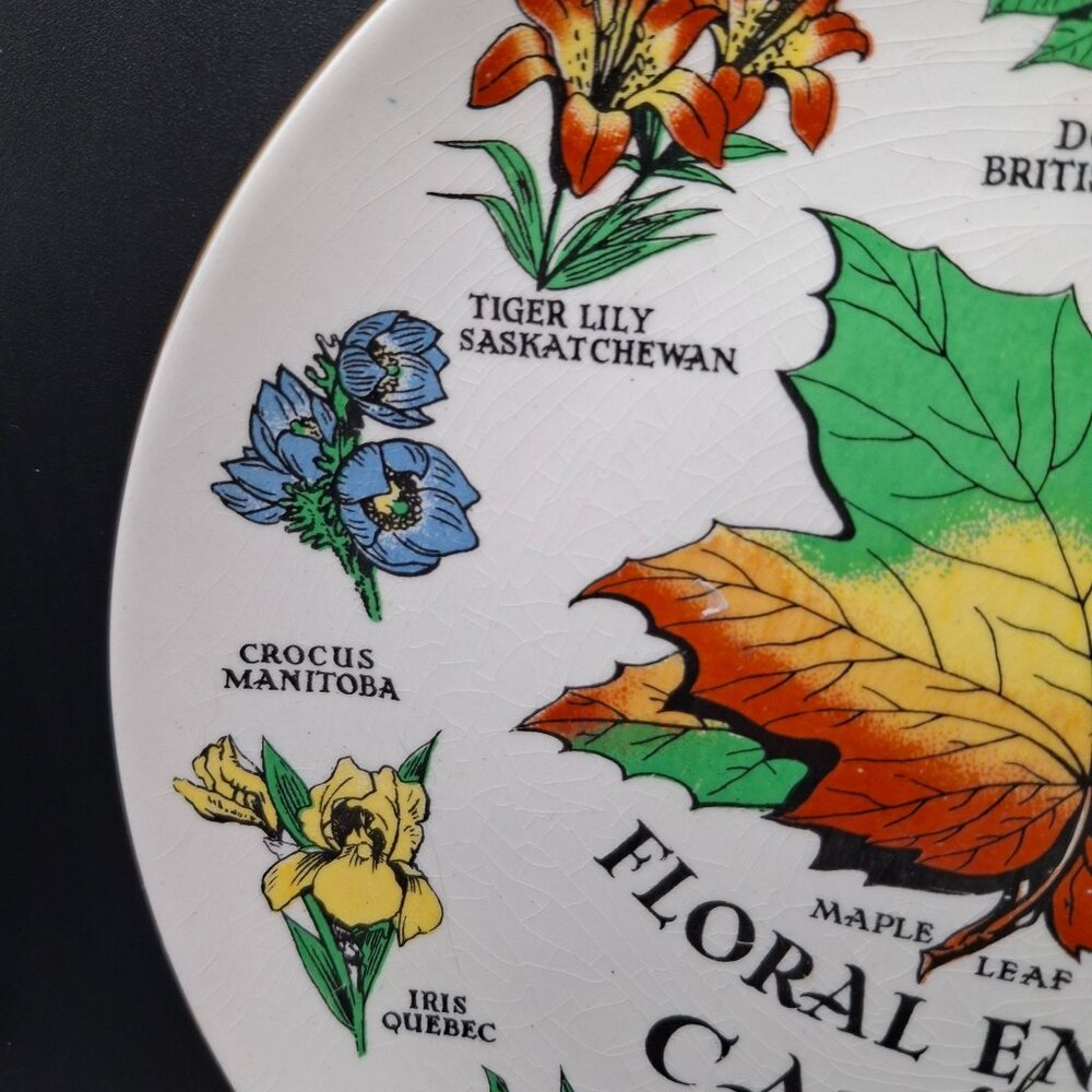 Floral Emblems Of Canada  Plate By Royal Winton England  Maple Leaf  Flowers - Picture 4 of 6